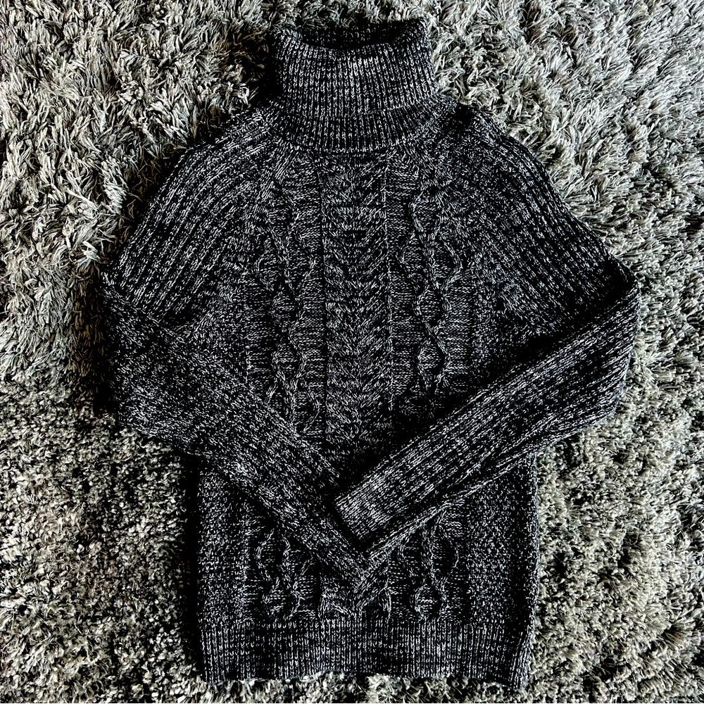 EXPRESS CABLE KNIT TURTLENECK SWEATER